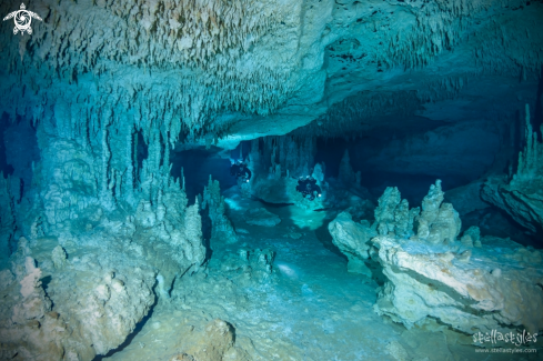 A Speleothems & Decorations