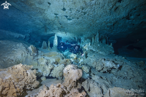 A Speleothems & Decorations