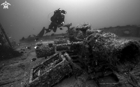 A Silver Star Shipwreck Mauritius