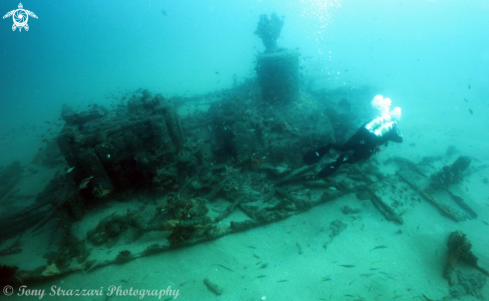 A SS Bonnie Dundee