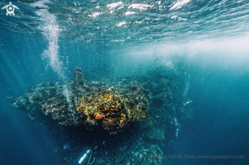 A Divers on a rock