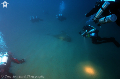 A Advance wreck 49 metres