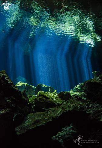 A Cenote Tajma Ha