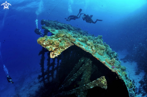 A Carnatic shipwreck