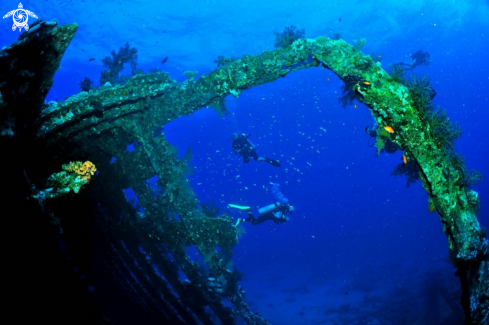 A Carnatic shipwreck