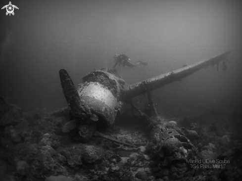 A Seaplane