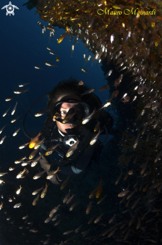 A Woman and glassfish