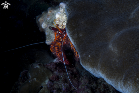 A Andaman Sea