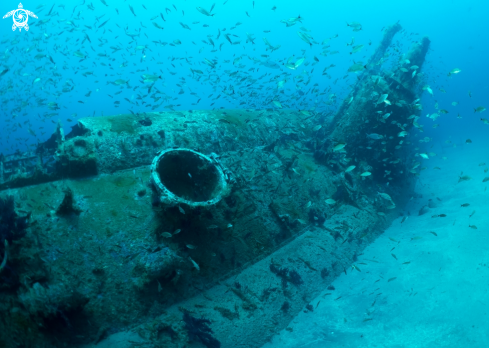A U-boat 352