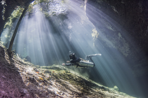 A Cenote