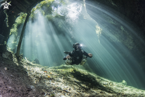 A Cenote