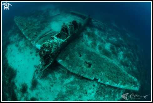 A Junkers Ju-87 | Junkers Ju-87