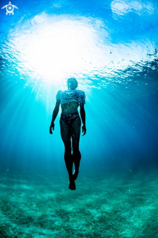 A Freediving Walk