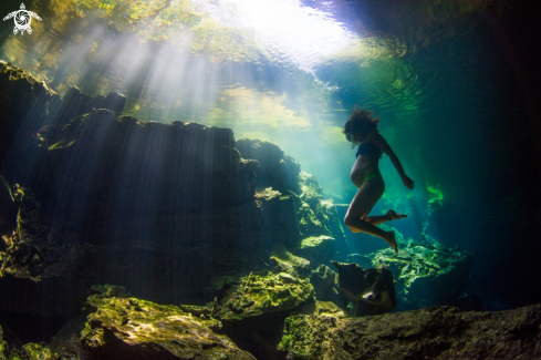 A Cenote