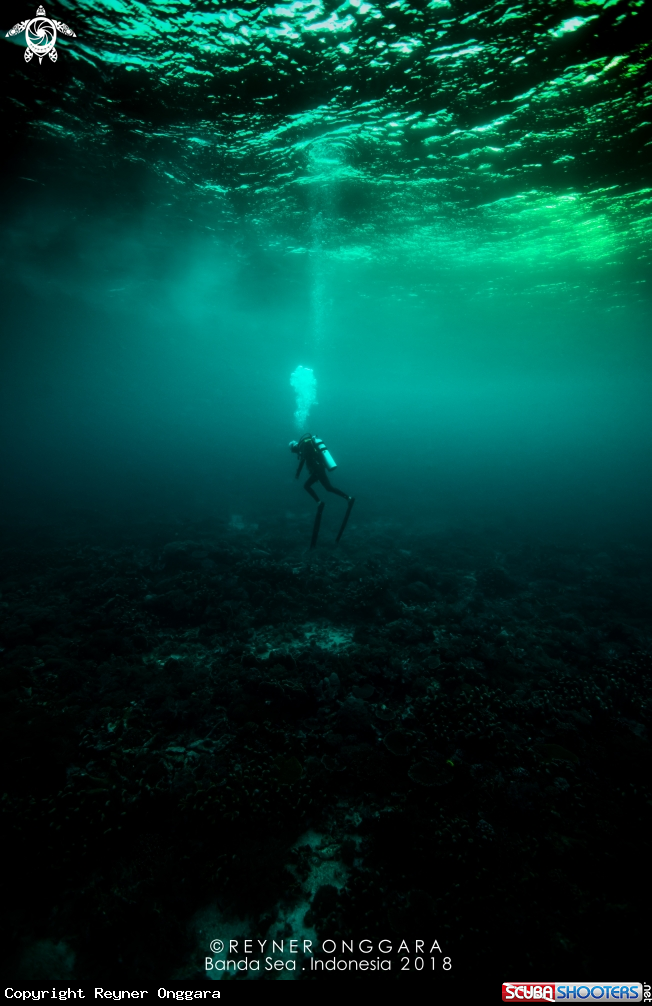 A Diver
