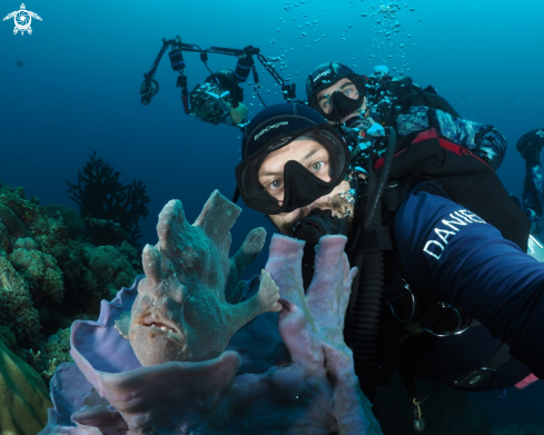 A Antennarius commerson | Giant Frogfish