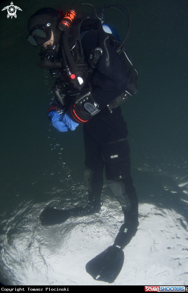 A diver