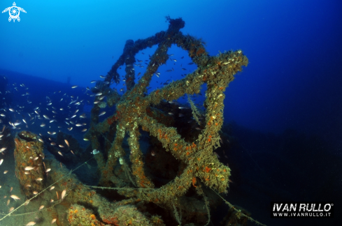 A WRECK PASUBIO