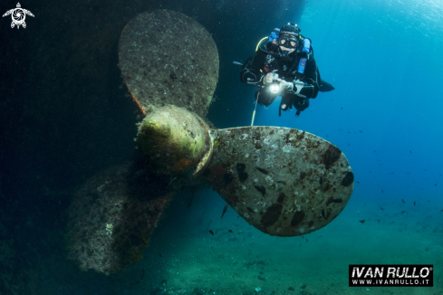 A WRECK CARIDDI