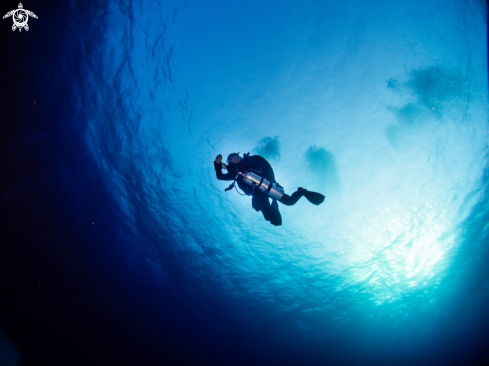 A Tec diver at last deco stop