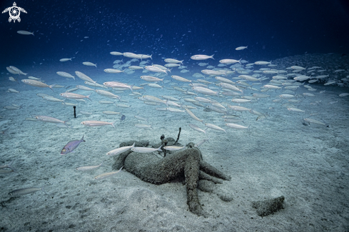 A Museo Atlantico