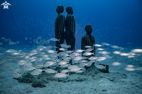 A Museo Atlantico