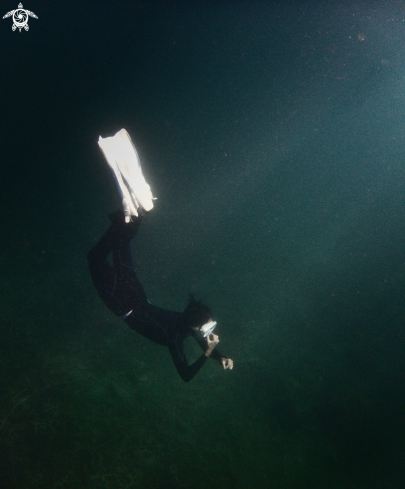 A Freediving