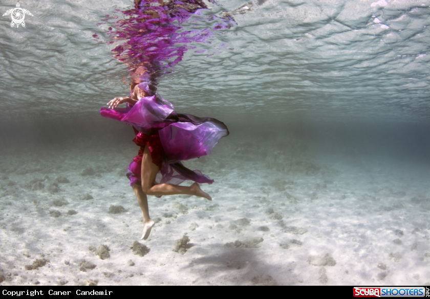 A Underwater Fashion Photo