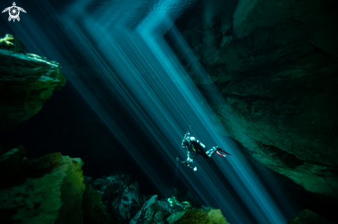 A Cenotes