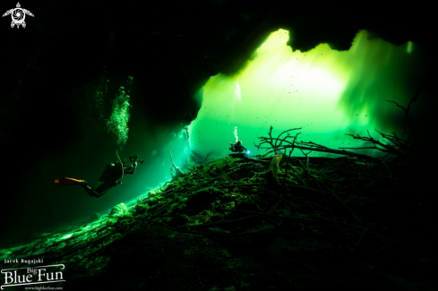 A Cenotes