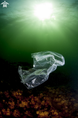 A Plastic bag