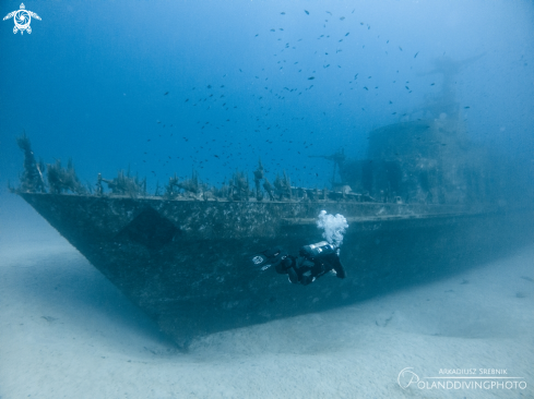 A P29 wreck