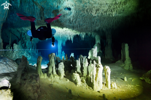 A cave diving