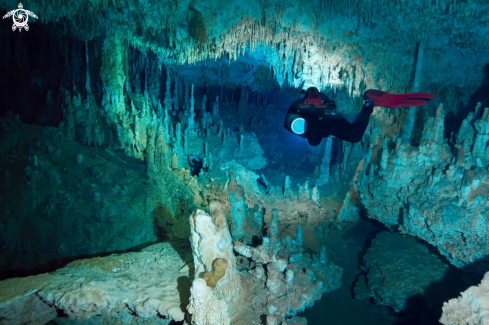 A Cenote Zacil-Ha | Room of Tears