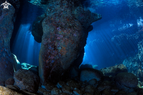 A Le Grotte di Ognina