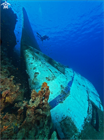 A Homo sapiens, Naufragium | Diver with wreck