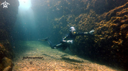 A Freediving