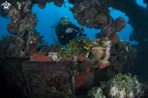 A Shinkoku Maru