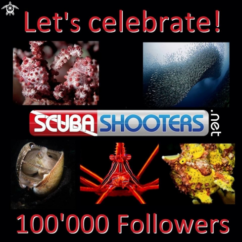 A Scubashooters Fan Page on Facebook