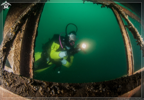 A underwater creature