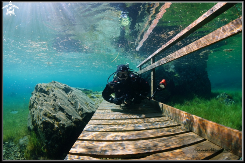 A Green Lake - Austria