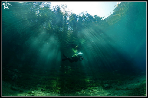 A Green Lake - Austria