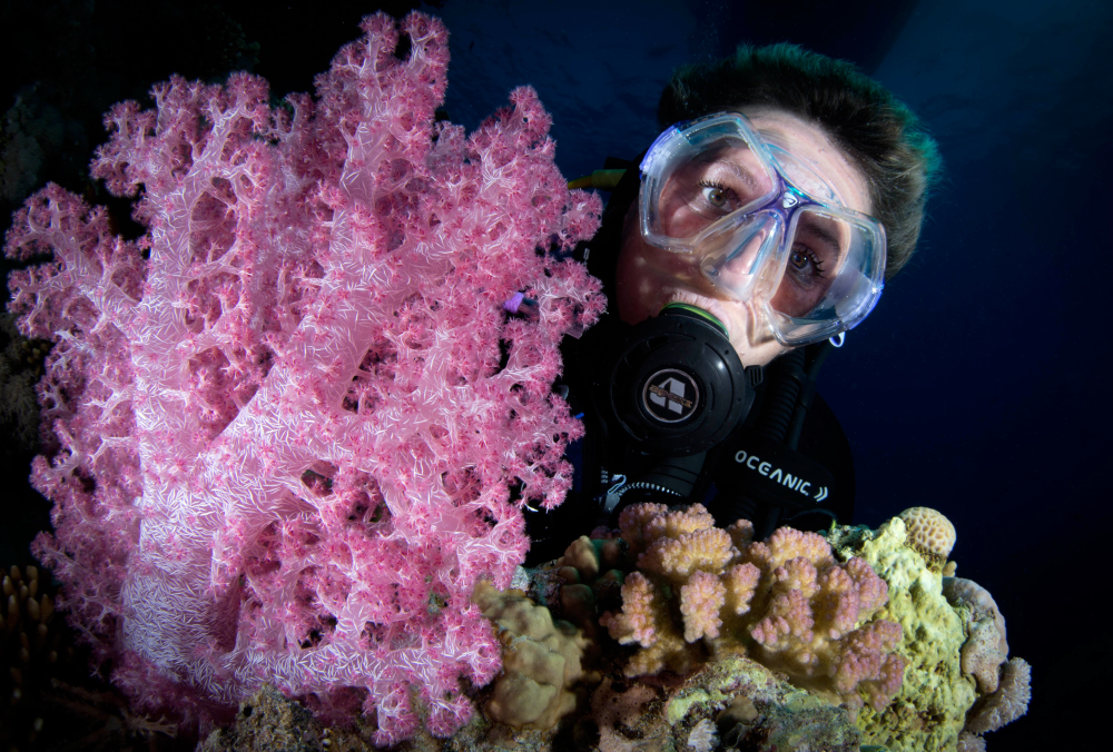 Diving in Sharm el Sheik