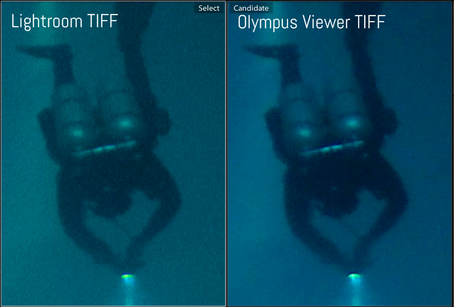 Lightroom TIFF vs Olympus Viewer TIFF