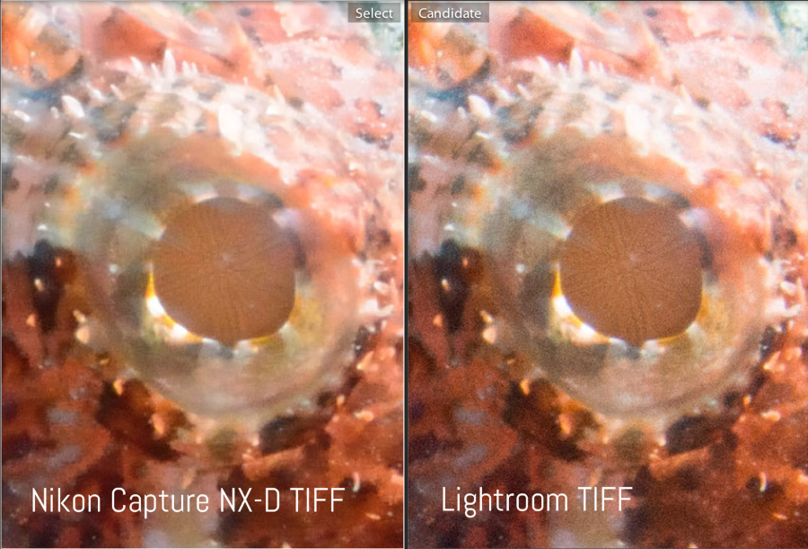 Lightroom TIFF vs Nikon Capture NX-D TIFF