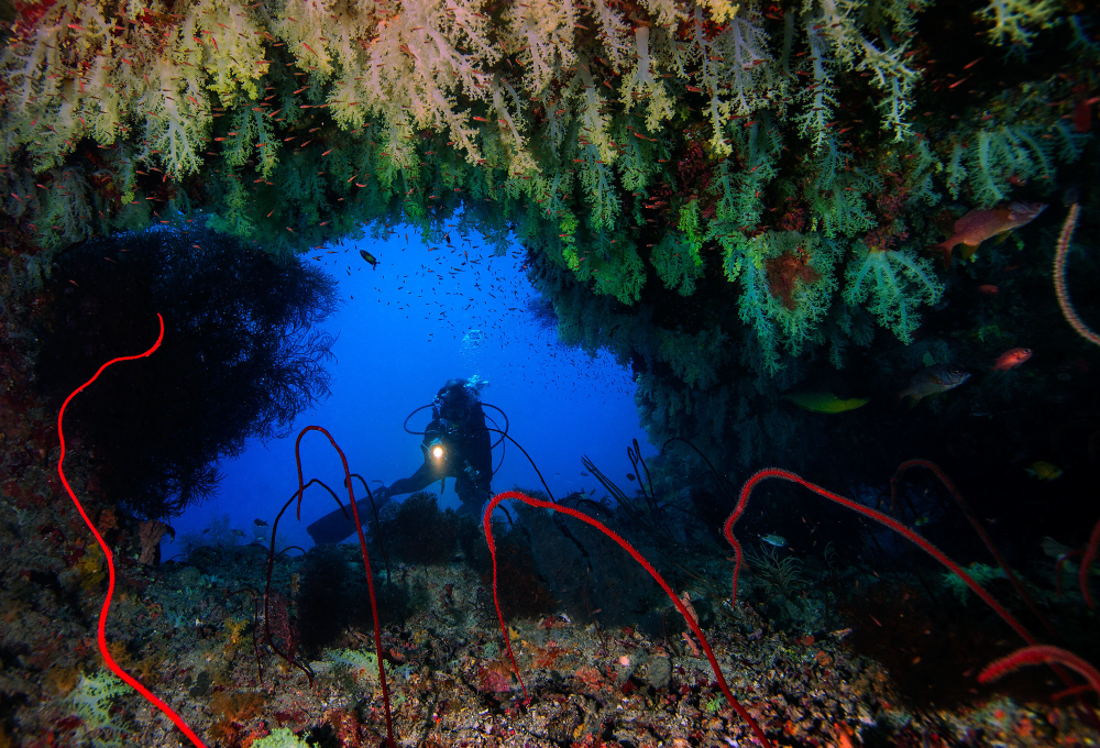 Underwater panorama