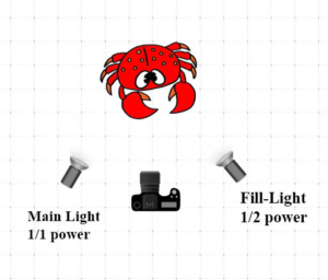 UWP light scene - fill light