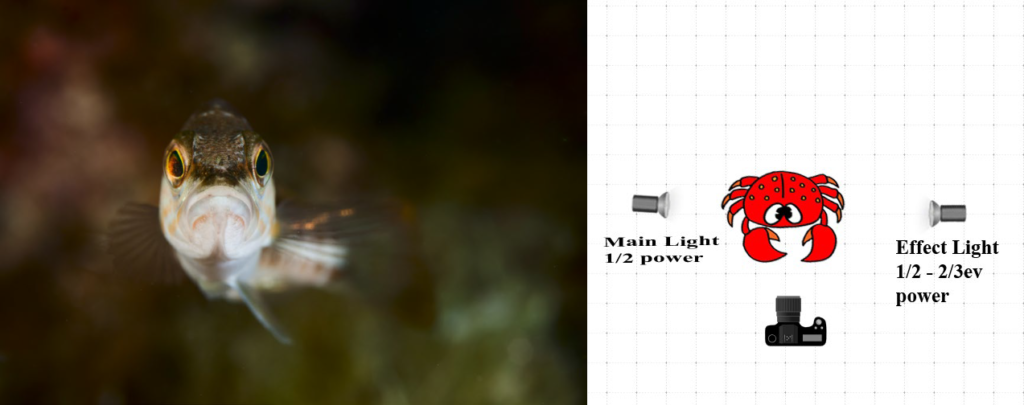 light-scene-9