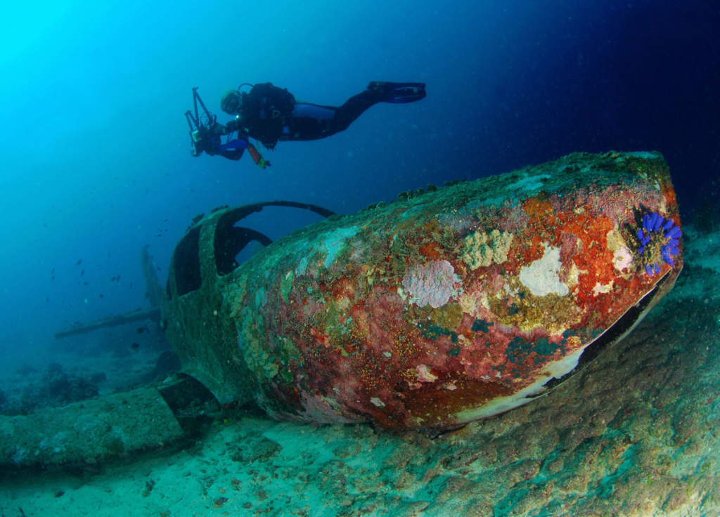 Wreck of a small airplane