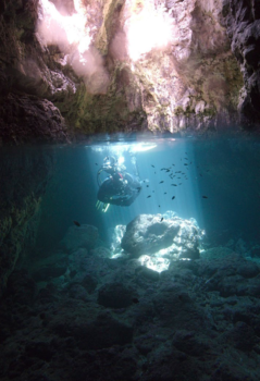 Rovinj Diving